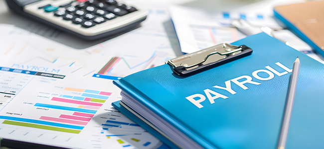payroll 650